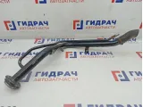 Горловина топливного бака Lada Granta 21900110106000.