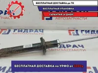 Амортизатор задний Lada Granta 2190291500451. Сайлентблоки под замену.