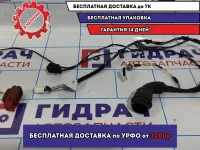 Проводка двери передней правой Lada Granta 8450103102.