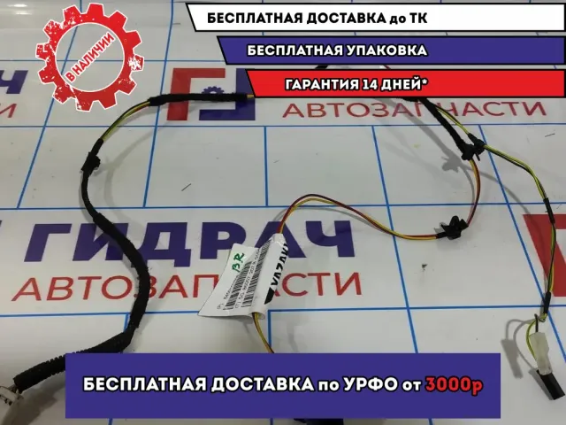 Проводка двери задней правой Lada Granta 8450102808.