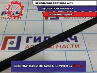 Уплотнитель стекла двери передней левой Lada Granta 8450001731. Внутренний.