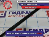 Молдинг стекла двери передней правой Lada Granta 8450072553. Внешний.