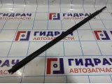 Молдинг стекла двери передней правой Lada Granta 8450072553. Внешний.