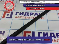 Молдинг стекла двери задней правой Lada Granta 8450051518. Внешний.