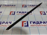 Молдинг стекла двери передней левой Lada Granta 8450072554. Внешний.