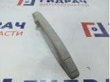 Ручка внутренняя потолочная Lada Granta .