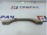 Ручка внутренняя потолочная Lada Granta .