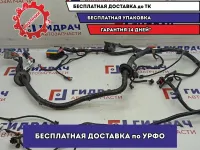 Проводка (коса) Lada Granta 8450101069.