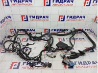 Проводка подкапотная Lada Granta 8450103042