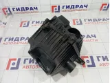 Корпус воздушного фильтра Lada Granta 21902110901000