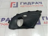 Рамка противотуманной фары левой Lada Granta 8450100967