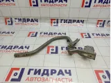 Петля крышки багажника левая Lada Granta 21905605011