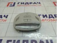 Плафон салонный Lada Granta 8450005651