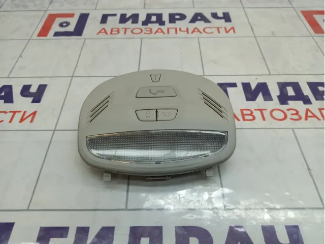 Плафон салонный Lada Granta 8450005651