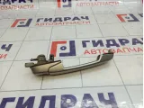 Ручка двери наружная передняя левая Lada Granta