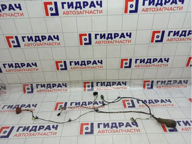 Проводка двери передней правой Lada Granta 8450103887