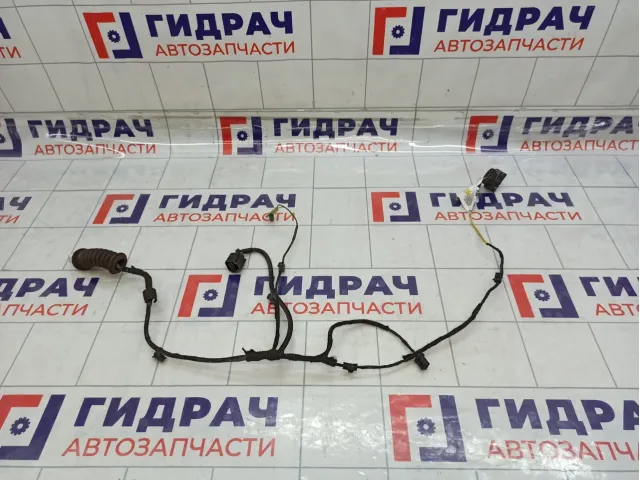 Проводка двери задней правой Lada Granta 8450002162