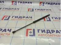 Амортизатор двери багажника Lada Granta 21918231015