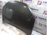 Капот Lada Granta 21900840201070