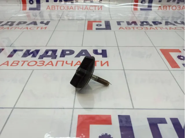 Болт крепления запасного колеса Lada Granta