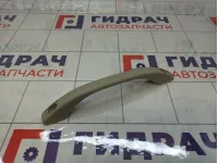 Ручка внутренняя потолочная Lada Granta 21108202011