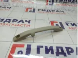 Ручка внутренняя потолочная Lada Granta 21108202011