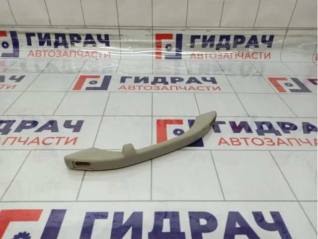 Ручка внутренняя потолочная Lada Granta 21108202010