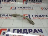 Ручка внутренняя потолочная Lada Granta 21108202010