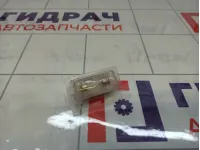 Плафон салонный Lada Granta 11180371435000