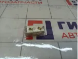 Плафон салонный Lada Granta 11180371435000