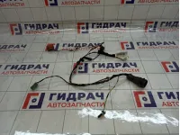 Проводка двери задней Lada Granta 8450110396