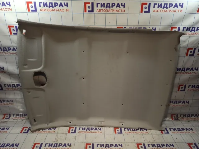Обшивка потолка Lada Granta 8450109182