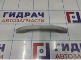 Ручка внутренняя потолочная Lada Granta