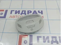 Плафон салонный Lada Granta 8450110540