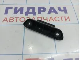 Ручка крышки багажника внутренняя Lada Granta 8450007640