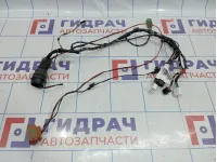 Проводка двери передней левой Lada Granta 8450110391