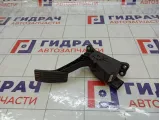Педаль газа Lada Granta 8450001981