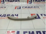 Ручка потолочная Lada Granta 21108202011
