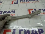 Ручка потолочная Lada Granta 21108202011