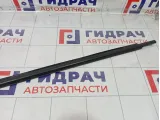 Накладка стекла заднего левого Lada Granta 11180620329101