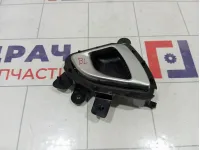 Ручка двери внутренняя задняя левая Lada Granta 21906205181