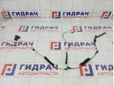 Проводка двери задней Lada Granta 8450102808