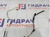 Проводка двери задней Lada Granta 8450102808
