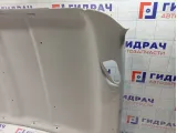 Обшивка потолка Lada Granta 8450112055