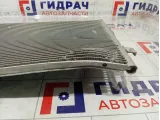 Радиатор кондиционера Lada Granta 619895