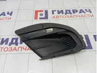 Рамка противотуманной фары левой Lada Granta 8450100963