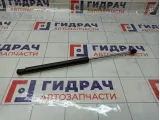 Амортизатор крышки (двери) багажника Lada Granta 8450110712
