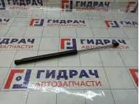 Амортизатор крышки (двери) багажника Lada Granta 8450110712
