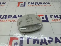 Плафон салонный Lada Granta 8450084132