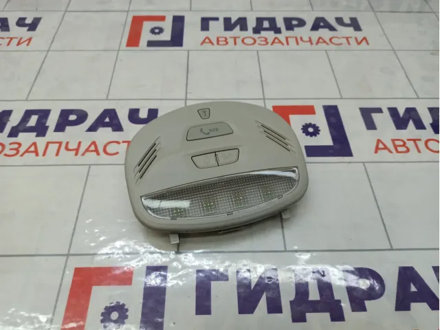 Плафон салонный Lada Granta 8450084132